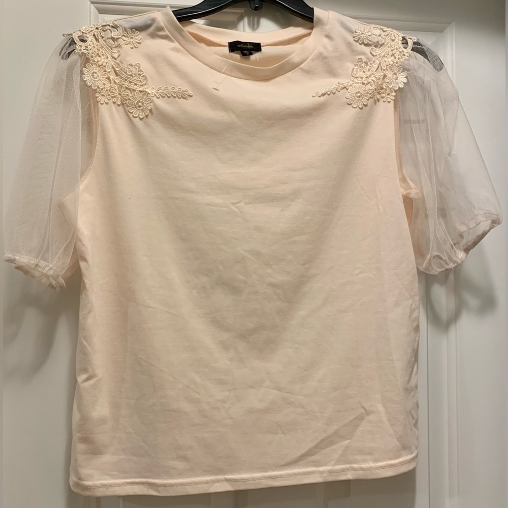 Light pink Top with Mesh Sleeves and embroidered shoulders